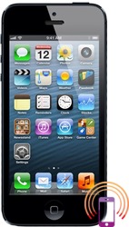 Apple iPhone 5 16GB Crna Prodaja